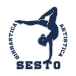 Ginnastica Artistica Sesto Per Web
